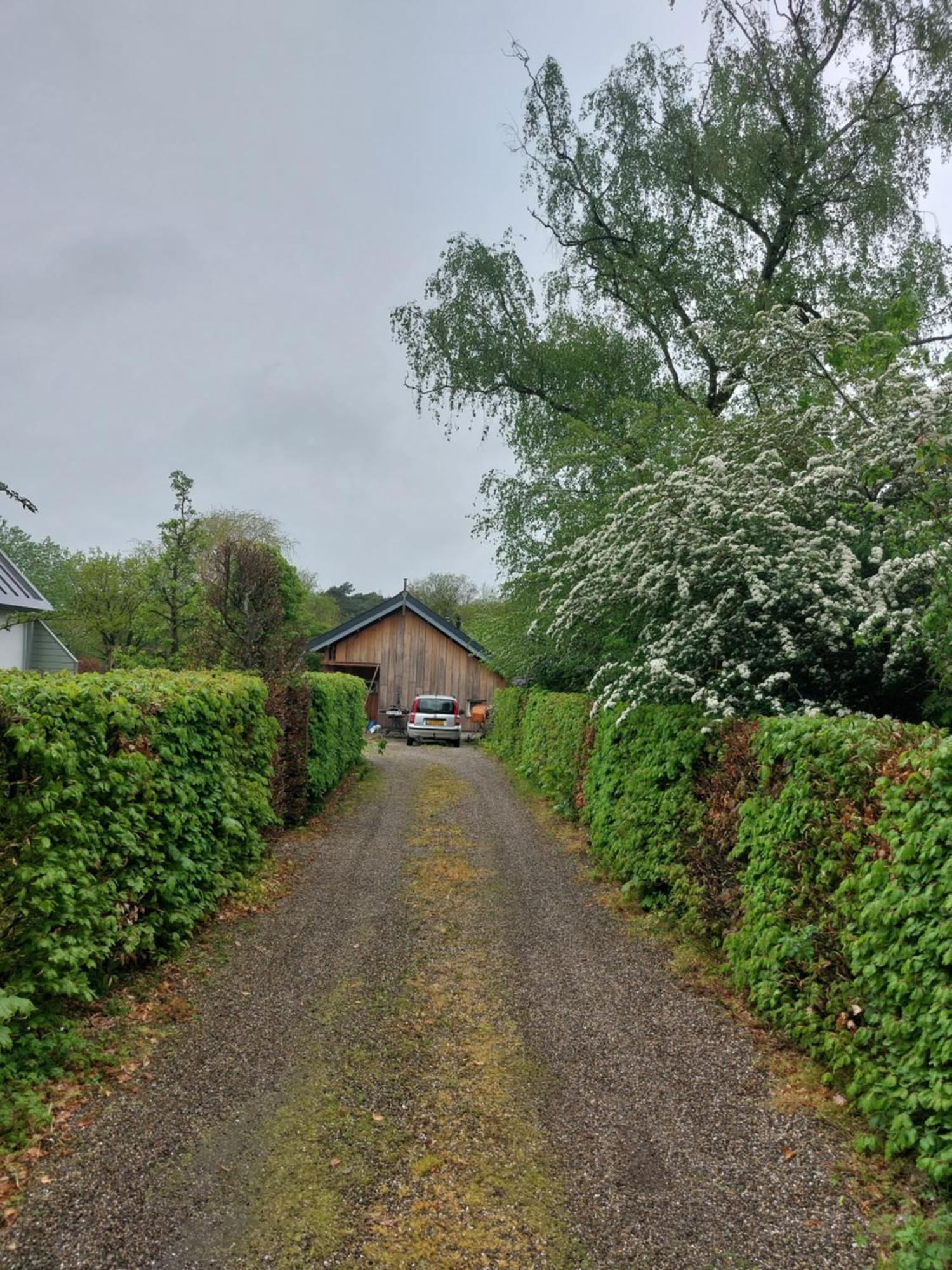 NijeberkoopDe Barre Hichte住宿加早餐旅馆 外观 照片